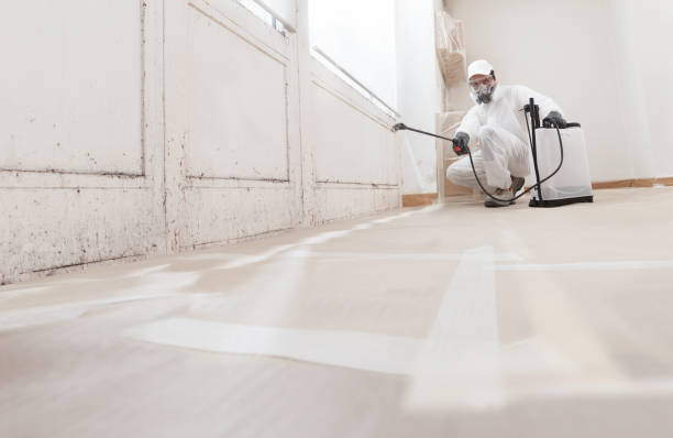 24/7 Emergency Mold Testing experts in Stevenson, WA