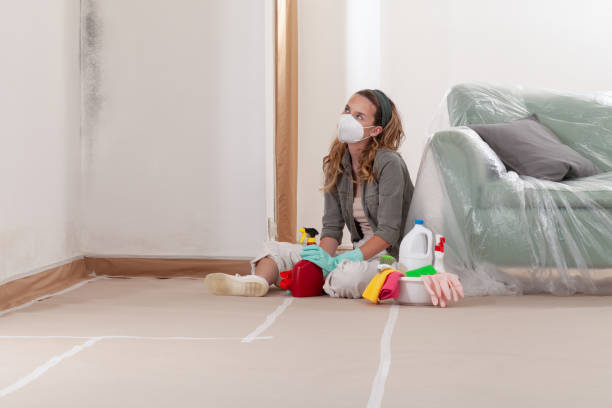 Reliable Mold Testing contractor in Stevenson, WA by WQB Mold Removal